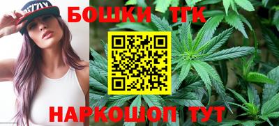 мдпв Татарск